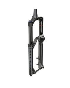 Rockshox Domain RC B1 Fork